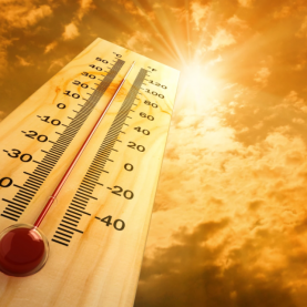 Record de chaleur battu à Québec