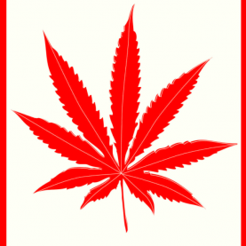 Adoption du projet de loi sur la légalisation de la marijuana