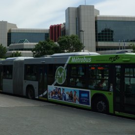 Les Nova Bus du RTC pourront rouler