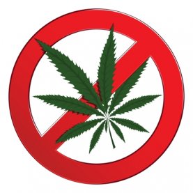 Pas de cannabis dans les lieux publics de la Ville de Québec
