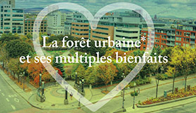 Place aux arbres