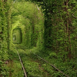 Des destinations hallucinantes