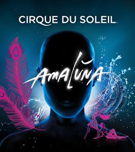 SORTIES POUR CE SOIR (vendredi)