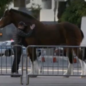 Votre pub favorite du Super Bowl XLVII!