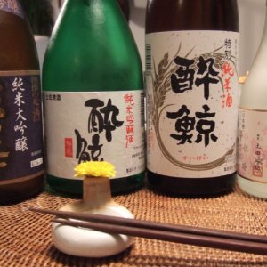 Boire selon Jessica Harnois