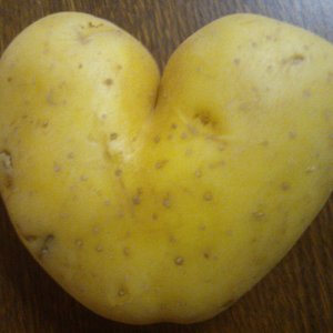 Hélène Baribeau démystifie la PATATE
