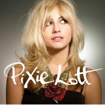 Une magnifique reprise de "Wake Me Up"