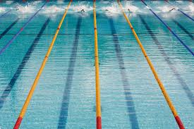 Compétition de natation hors du commun!
