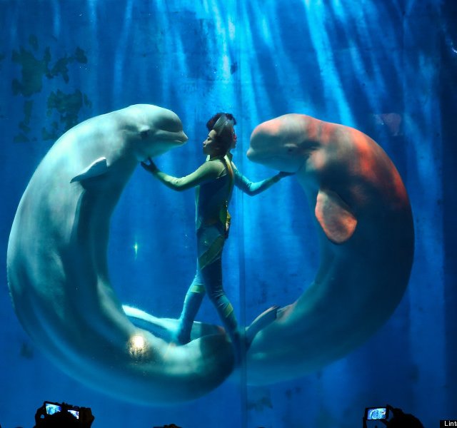 Les 52 plus belles photographies de 2014 