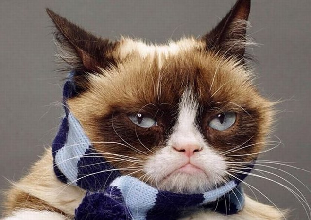 Trucs pour vaincre le lundi bleu