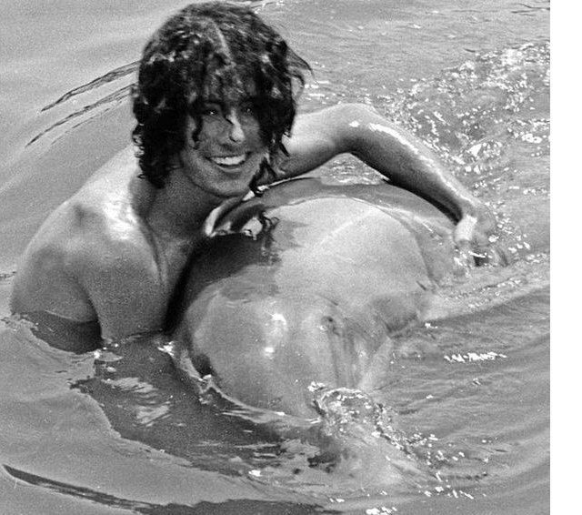 Histoire d'amour entre un homme et un dauphin