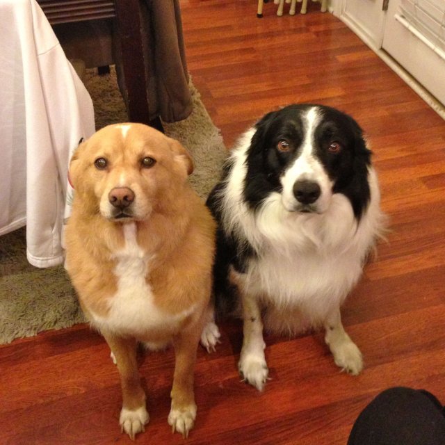 Qui a vidé la poubelle ?