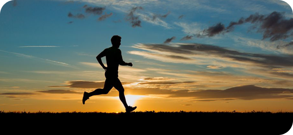 Références pour le sportif en vous!