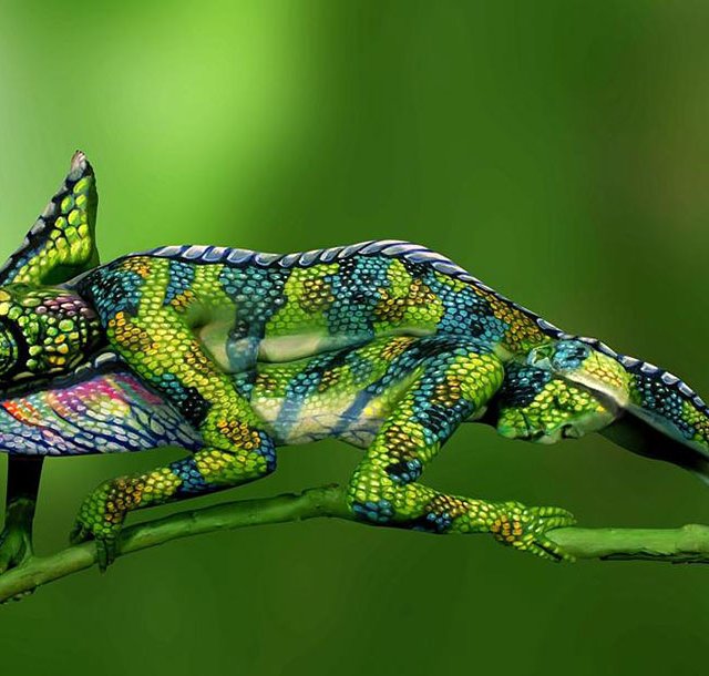 BUZZ : le Caméléon