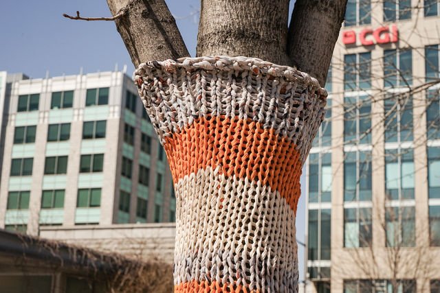 Les arbres couverts de fils à Québec