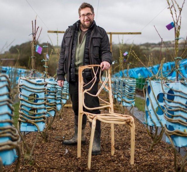 L’homme qui faisait pousser des chaises naturellement