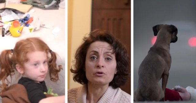 BUZZ : avoir un animal de compagnie