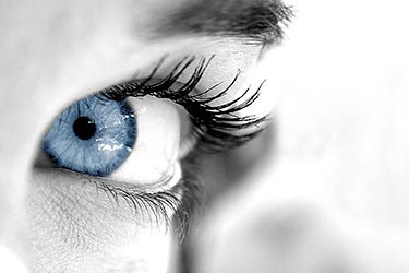 As-tu une mémoire photographique ?