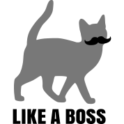 Vidéo : Un chat en tant que manager d'une compagnie