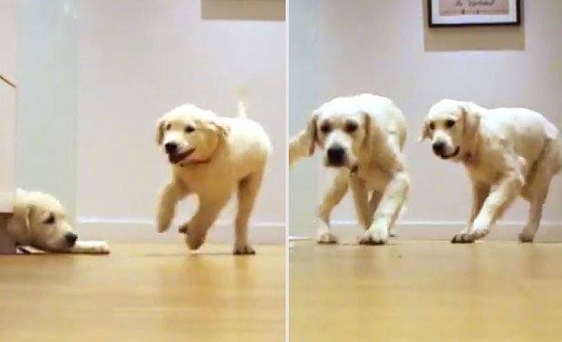 Une vidéo à voir!!