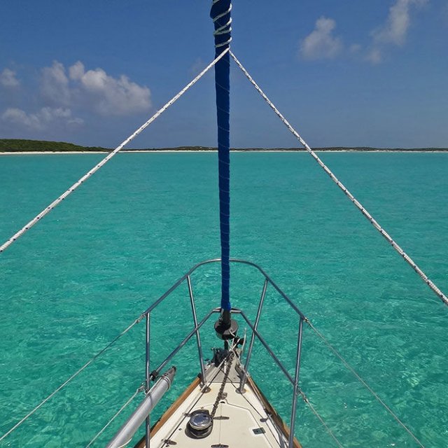Ils quittent tout pour faire le tour du monde avec leur chat