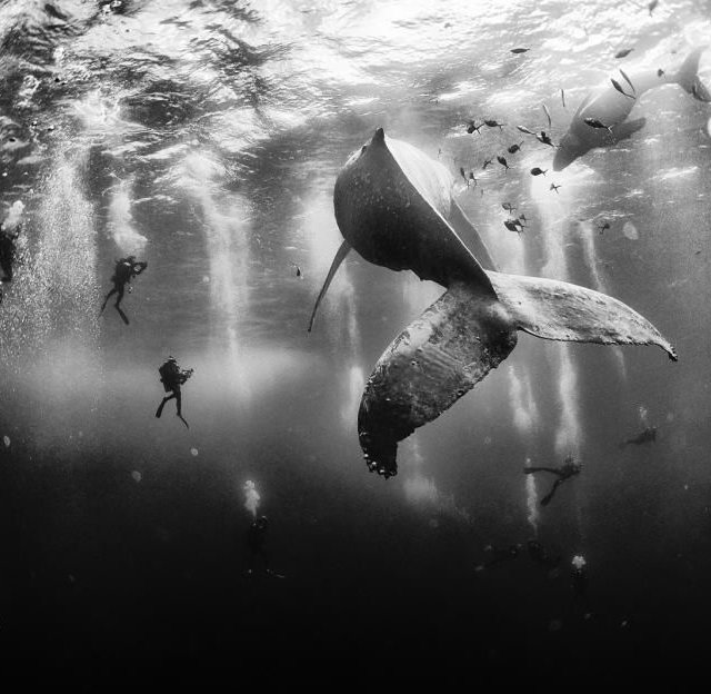 National Geographic Traveler a récompensé les photographies les plus incroyables de 2015