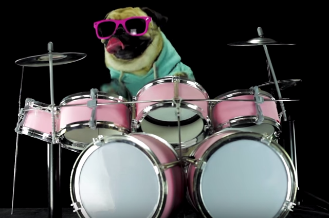 Le roi de la batterie!