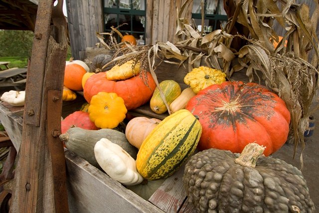 L'Agenda WKND du 24 septembre