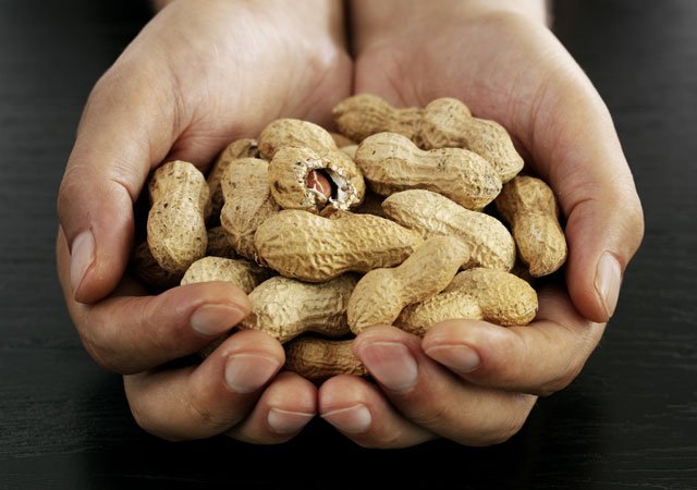 Plus besoin de patienter avant de servir des aliments allergéniques à votre bébé