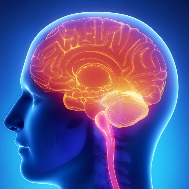 Es-tu plus intelligent que la moyenne?