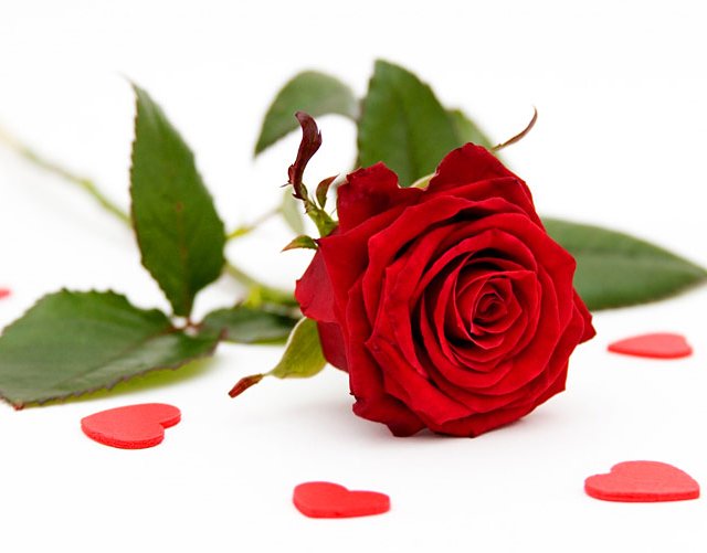 Combien devrait gagner une mère au foyer si elle était payée