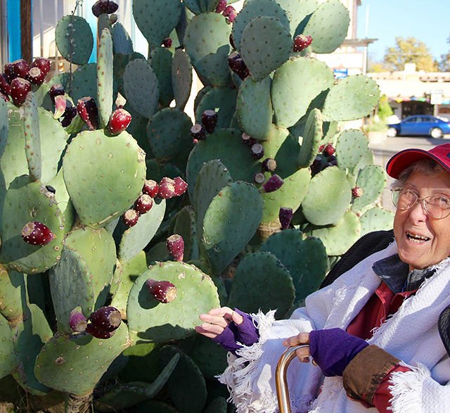 Non à la chimio, oui au Roadtrip !