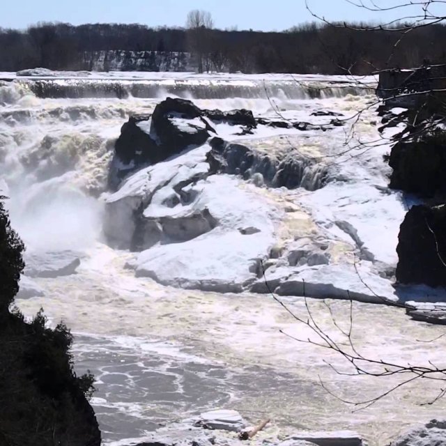 LA NATURE EN ACTION À CHARNY