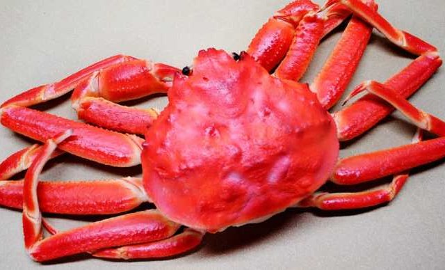 Le crabe des neiges selon Ricardo!!!!