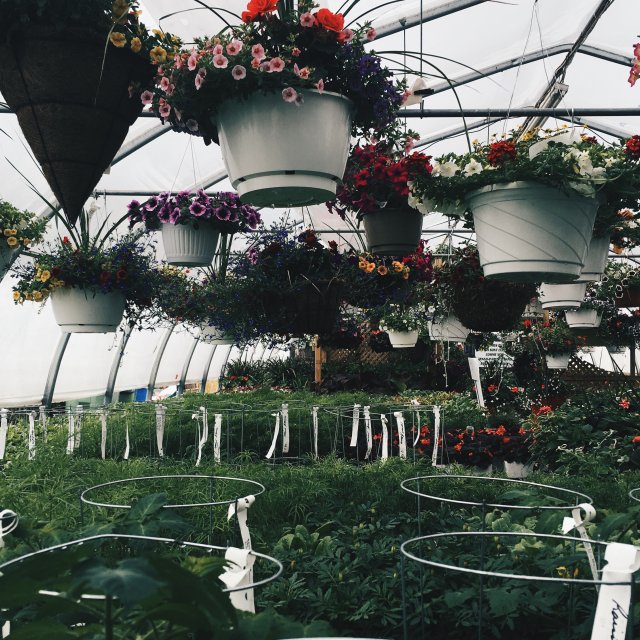 La techno à la rescousse de votre jardin