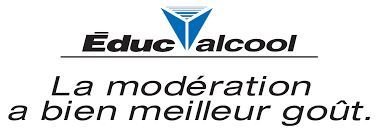 Sensibilisation à la consommation d'alcool par des Youtubeurs 