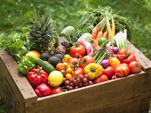 Dossier de l'émission L'Épicerie sur les produits bios