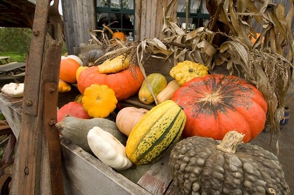 L'Agenda WKND du 13 octobre