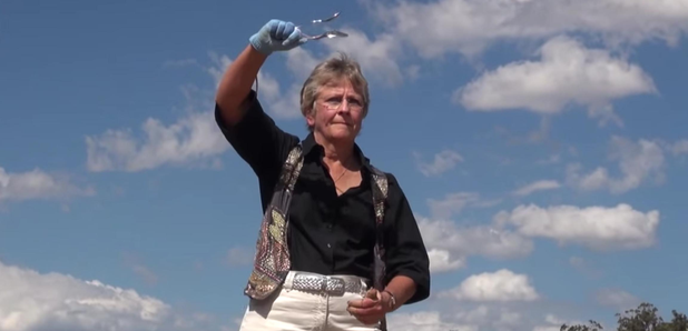 Deb "Spoons" Perry reprend un titre de The Black Keys à la cuillère