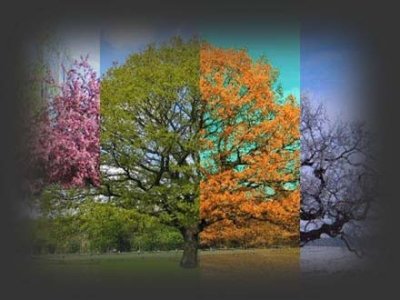 Le climat qu'il faisait quand vous êtes né influencerait votre vie!