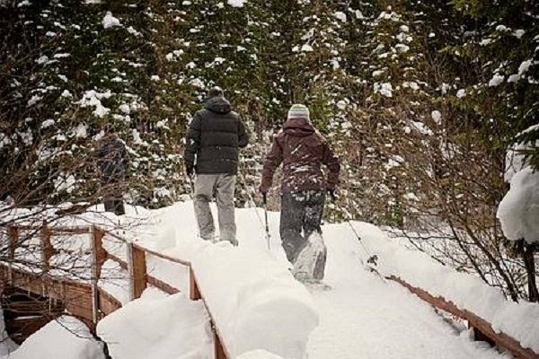 La Relève WKND : Chronique sur la forêt Montmorency