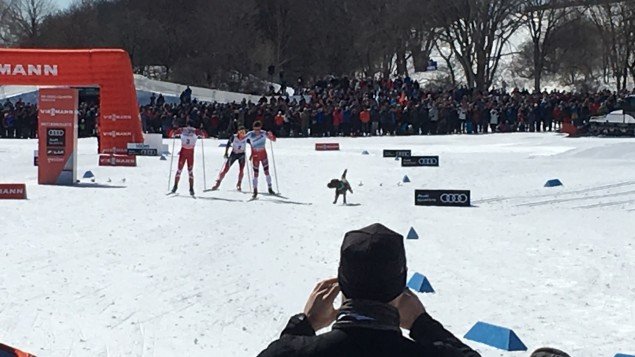 Un chien et Alex Harvey !!