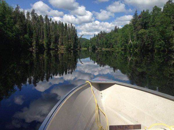 À la recherche d’un couple pour partir en roadtrip!