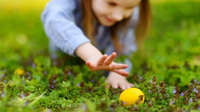 L'Agenda WKND du 13 avril