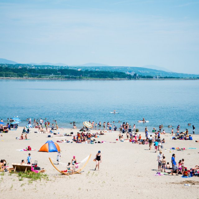 L'Agenda WKND du 20 juillet 