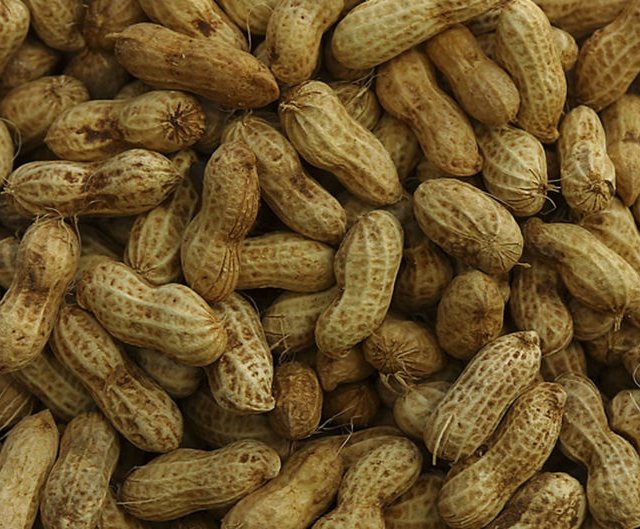 Des recherches intéressantes sur les allergies aux arachides