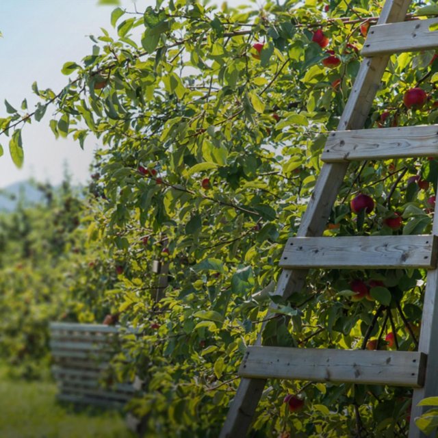 L'Agenda WKND du 21 septembre