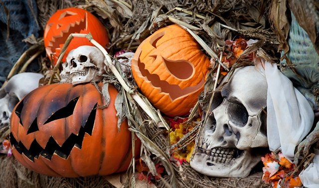 L'Agenda WKND du 26 octobre