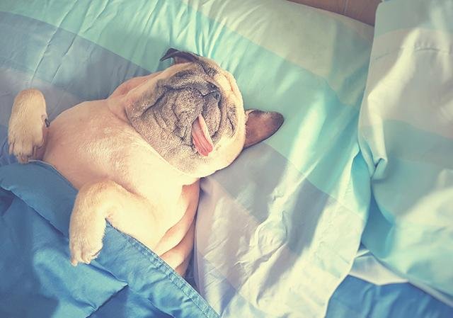 Combien d'heures de sommeil avez-vous besoin selon votre signe astrologique?