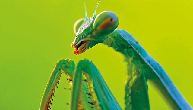 L'Agenda WKND du 19 avril 